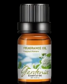Car Fragrance Oil scents10ml