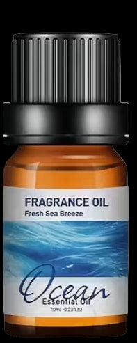Car Fragrance Oil scents10ml