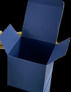 2 piece Angel Decoration for car vent