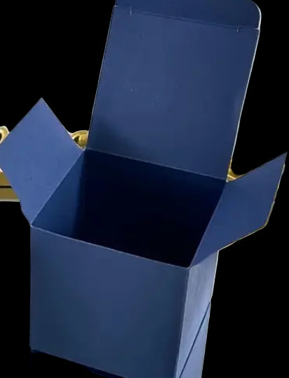 2 piece Angel Decoration for car vent