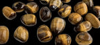 Tiger eye polished stones
