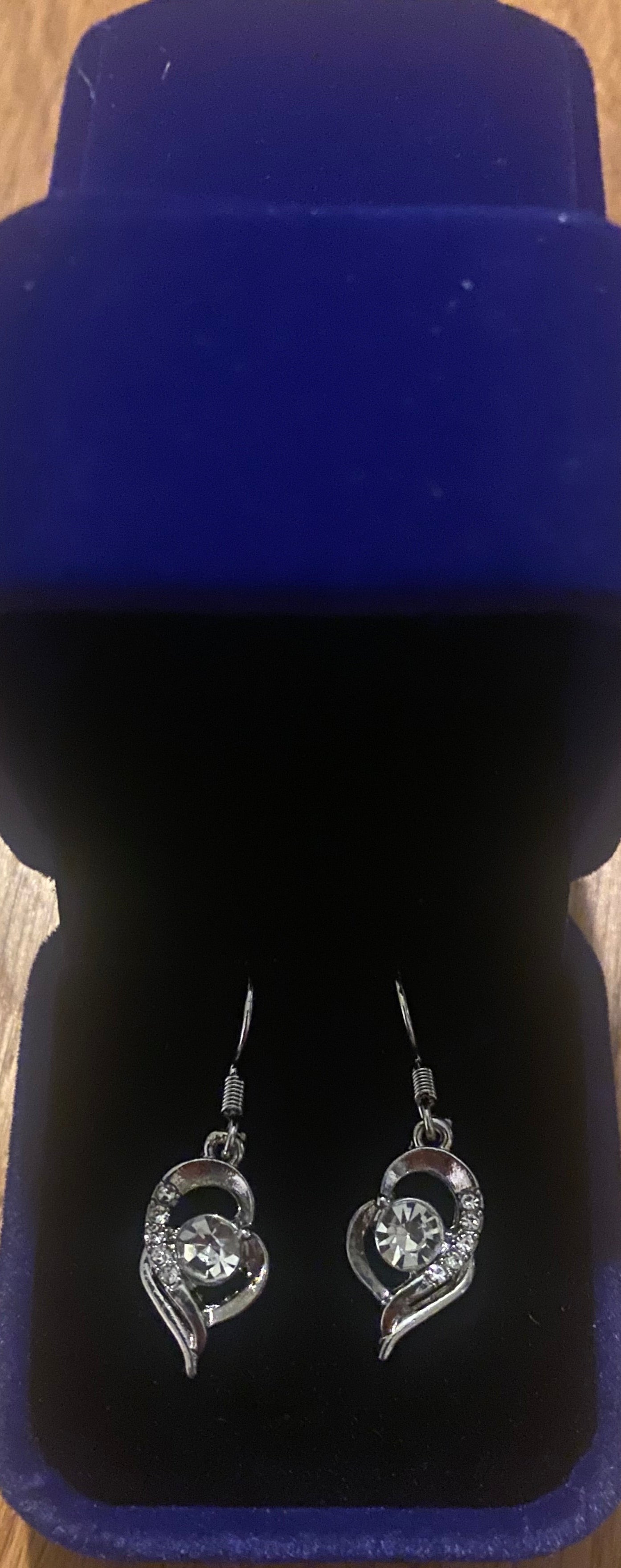 Sterling silver hypoallergenic drop Earrings