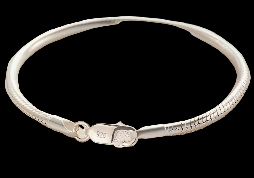 Sterling silver snake bone charm bracelet