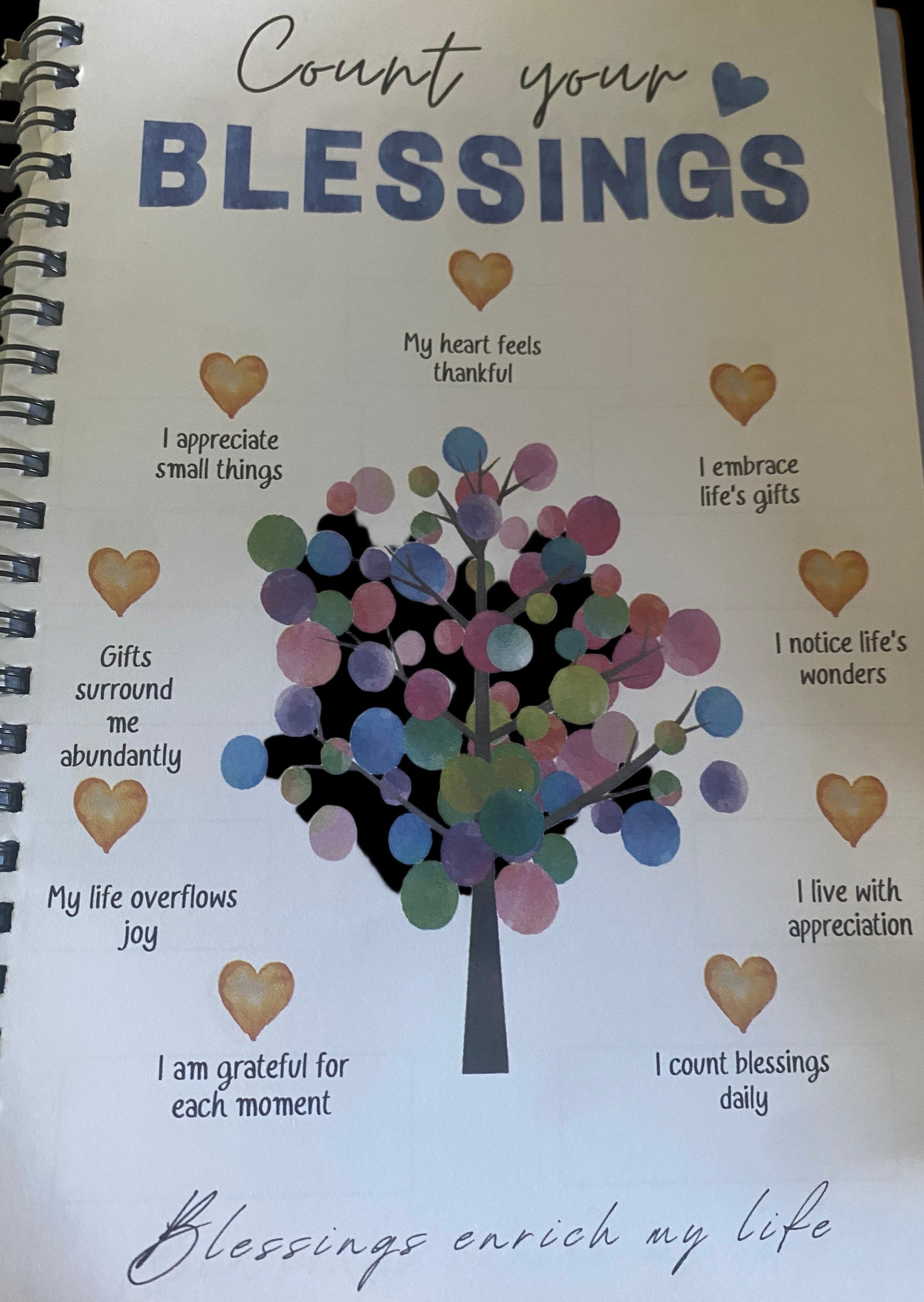 Daily gratitude journal