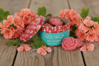 Wax Melts